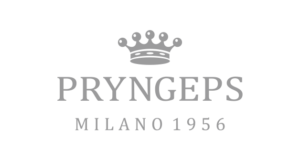logo_pryngeps1